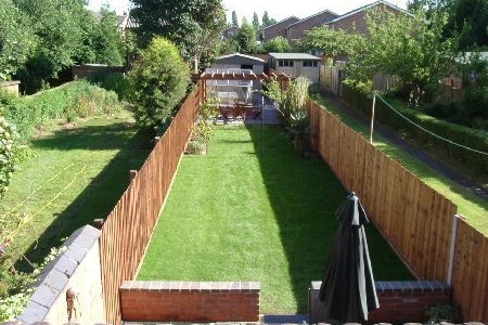 garden 061